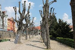 Slavonice2014: image 14 of 25
